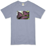 If you or a friend, family member are allergic to pesticides, or if you just want the choice - here are Organic USDA certified Organic apparel for Men!