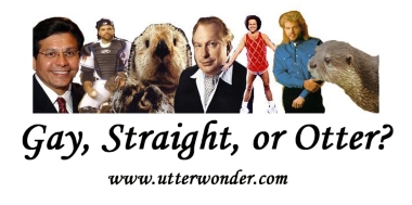 gay, straight or otter?