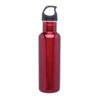 h2go Bolt Bottle (24 oz)