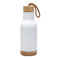 Perka Altair Stainless Steel Water Bottle (17 oz)