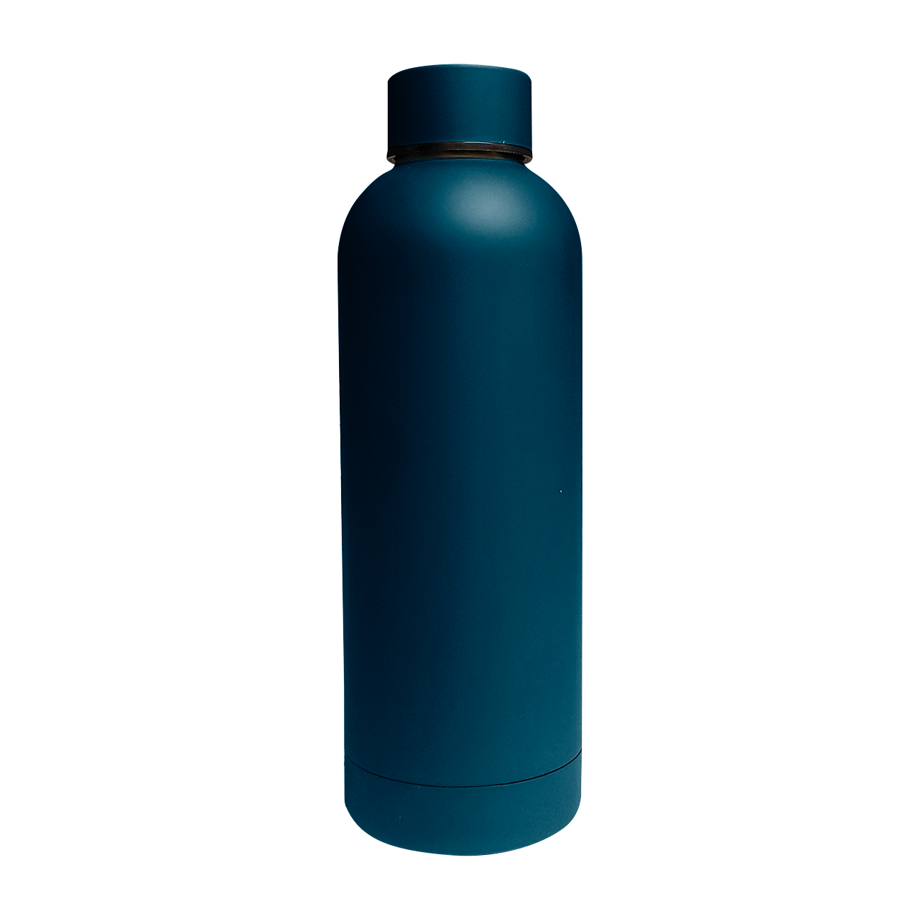 Customized Blair Stainless Steel Bottle (17 oz) | Printfection