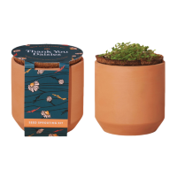 Modern Sprout Tiny Terracotta Grow Kit Thank You Daisies