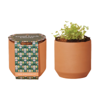 Modern Sprout Tiny Terracotta Grow Kit Good Luck Clover