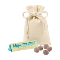 Modern Sprout Bright Side Seed Balls
