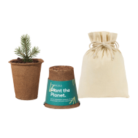 Modern Sprout One-For-One Tree Kit