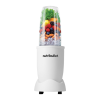 Nutribullet Pro 900-watt Blender