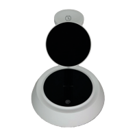 Phoenix Qi Charger