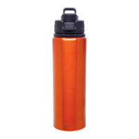 h2go Surge Bottle (28 oz)